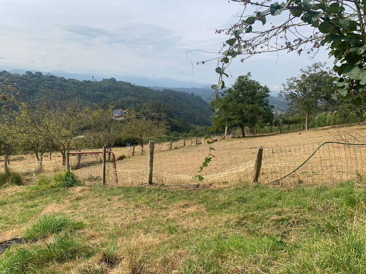 House or chalet for sale in Las Regueras    with Private garden, Terrace and Storage room