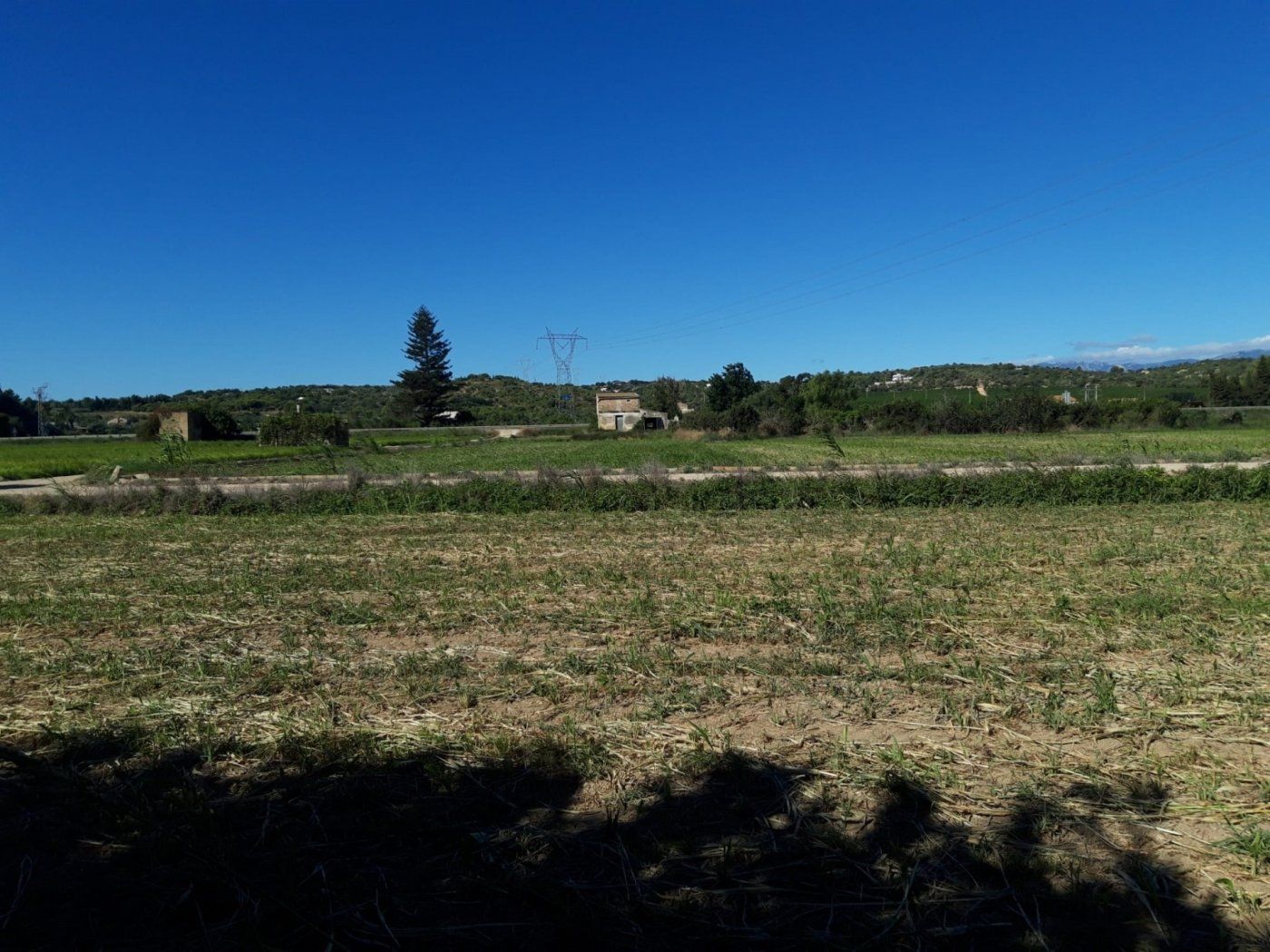 Finca rústica en venda en Amposta