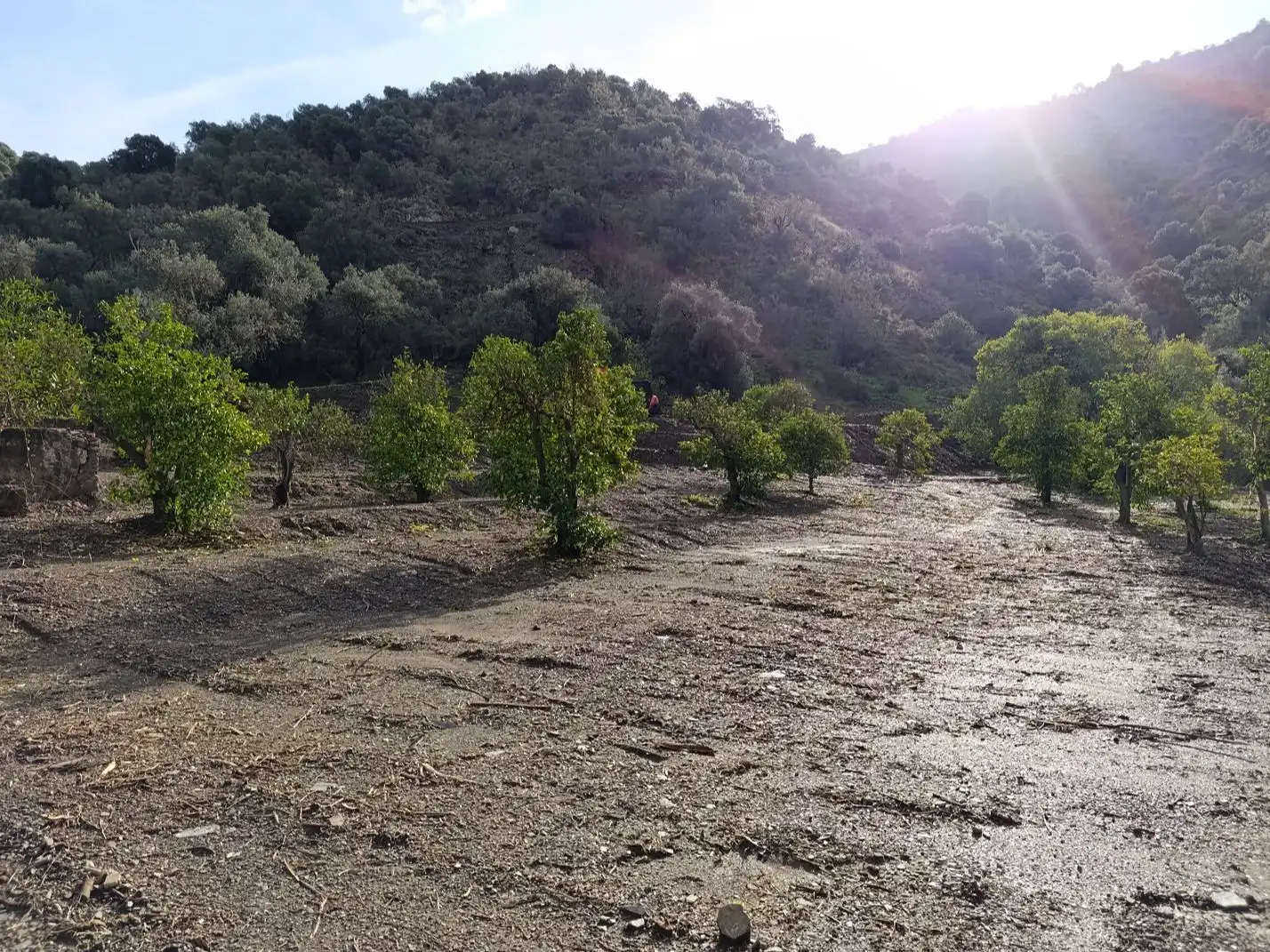 Terreno en venta en Málaga