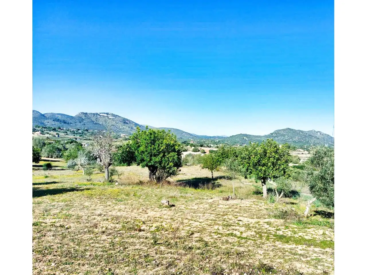 Rural land for sale in Poligono 5 723, imagen 38