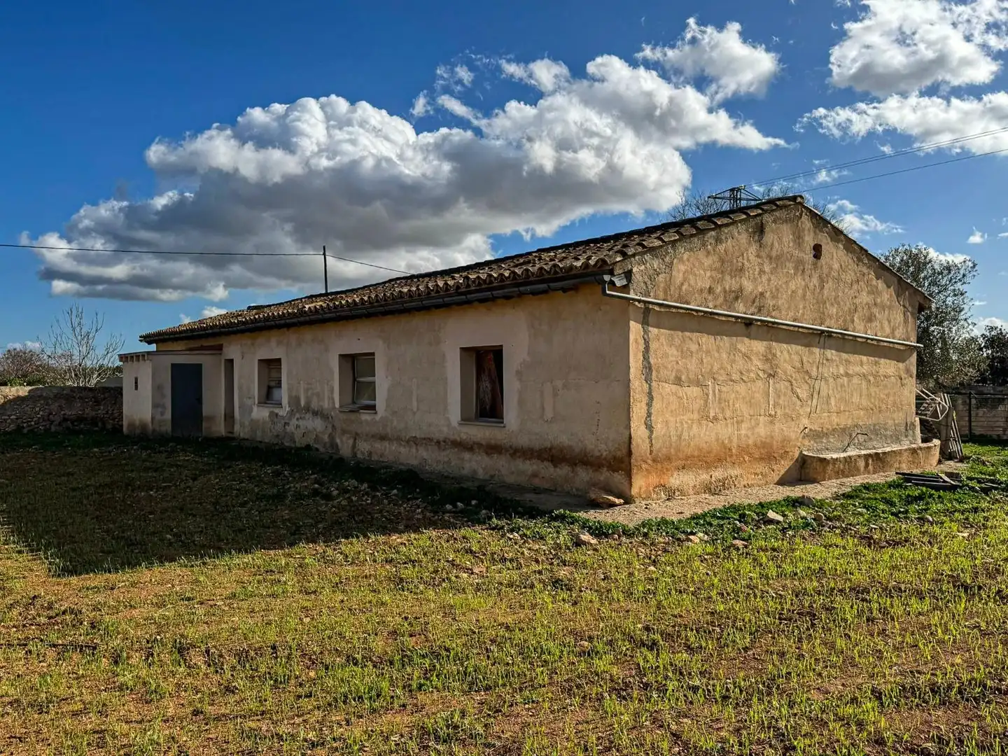 Vista exterior de Terreno industrial en venta en Binissalem