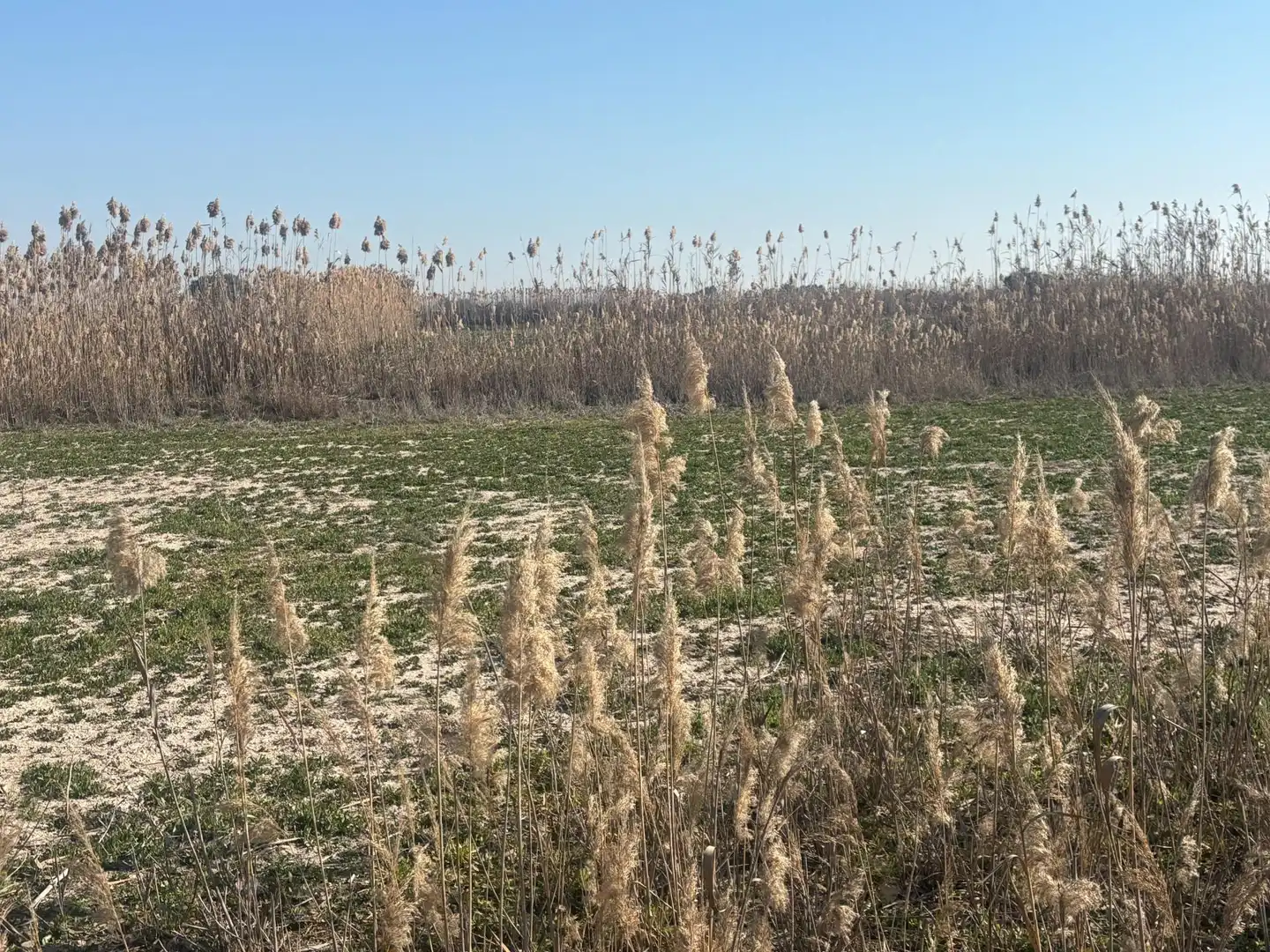 Terrain rustique à vendre à La Foia - Daimés - Asprella, imagen 29