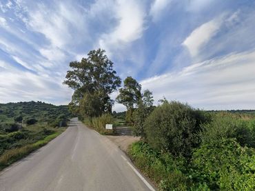 Terreno rustico in vendita a Los Barrios