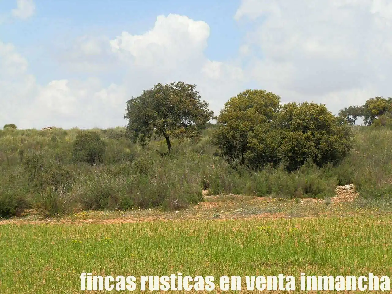 Terreno rustico in vendita a Ruidera, imagen 20