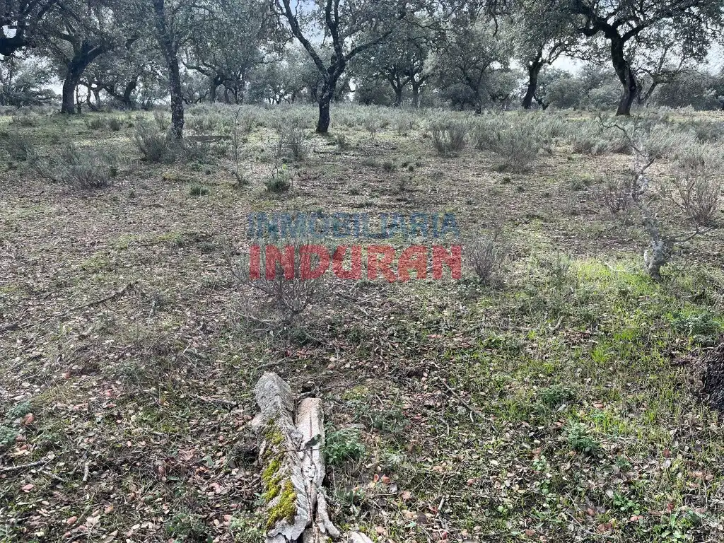 Finca rústica en venta en Calle Corchito, Majadas