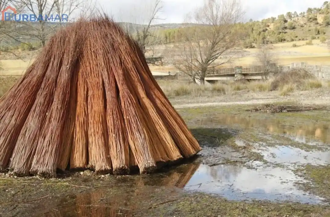 Casa o chalet en venta en Cañamares