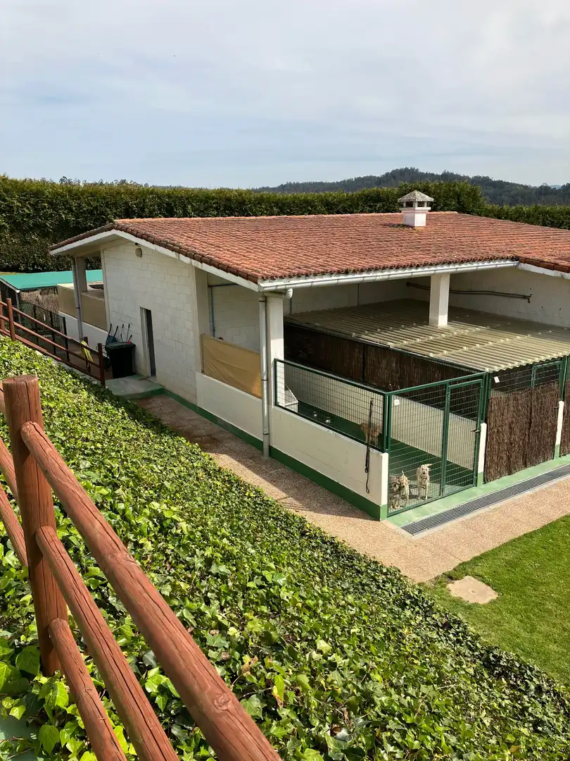 Garden of Houses for sale in Abegondo