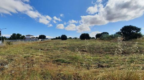 PARCELA DE 1.000M2 EN URBANIZACION CERCA DEL PUEBLO, ESCALONA, immagine 2