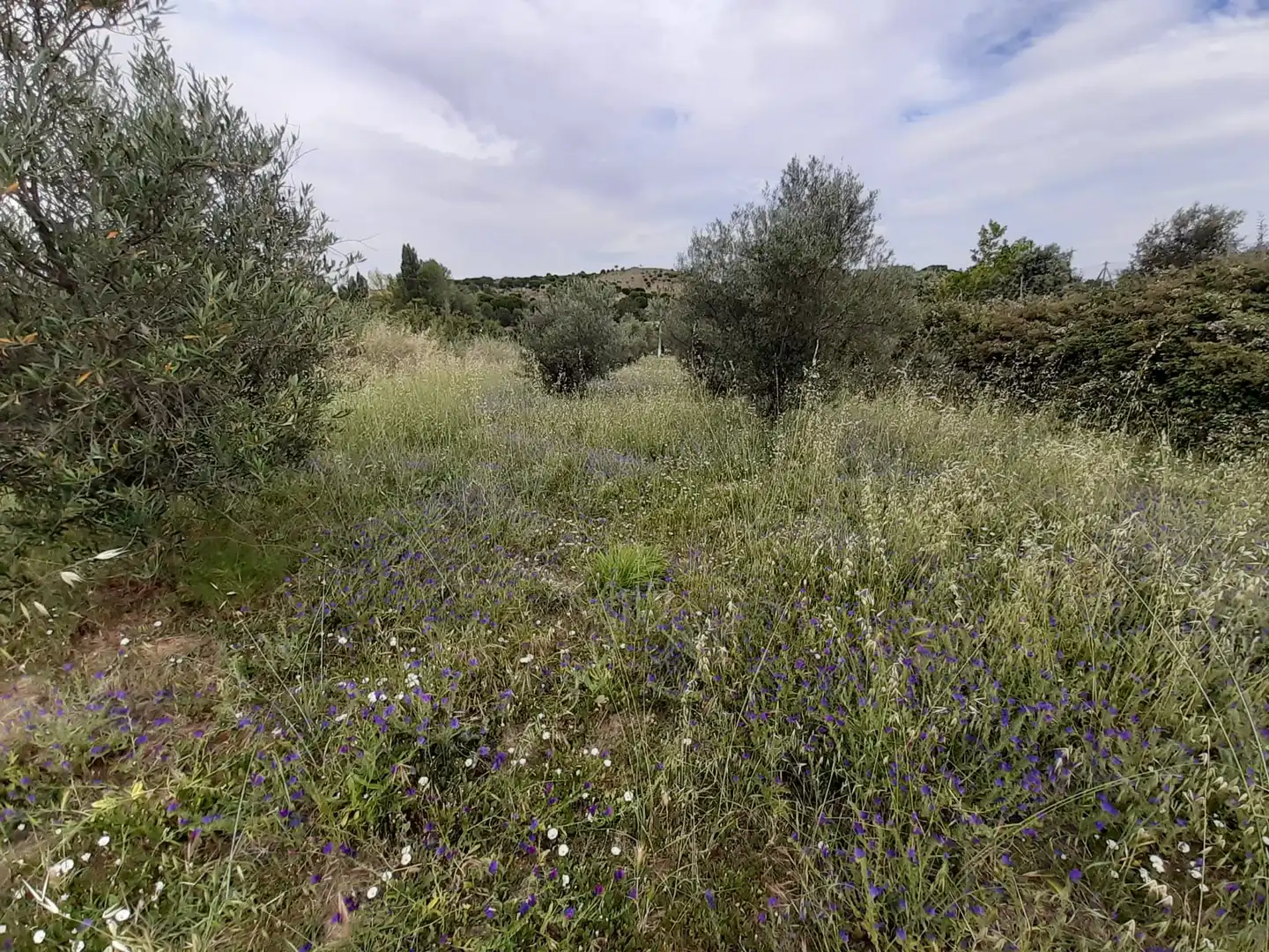 Terreni e lotti in vendita a La Hiniesta, imagen 5