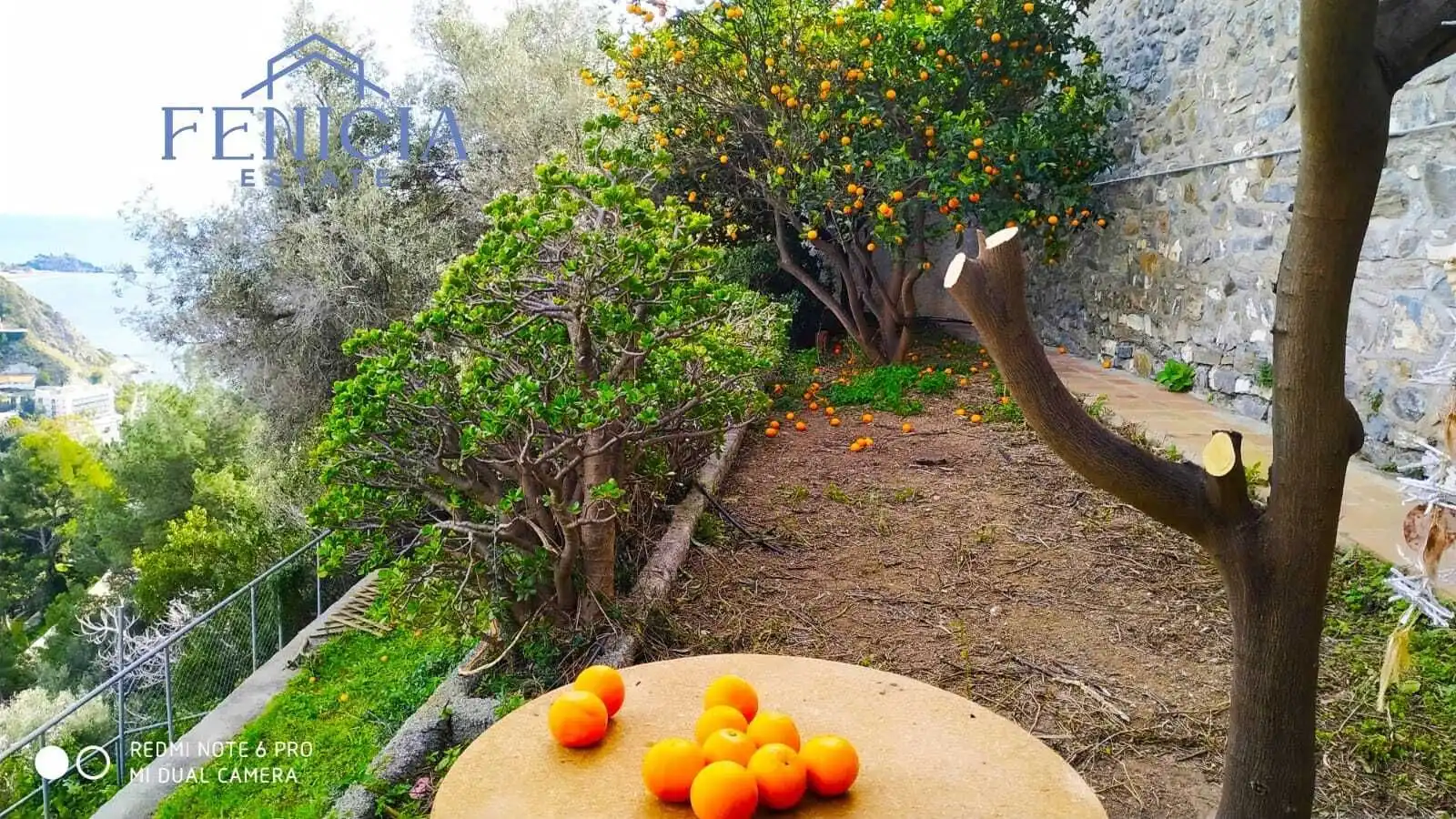 Jardí de Casa o xalet en venda en Almuñécar amb Jardí privat, Terrassa i Traster