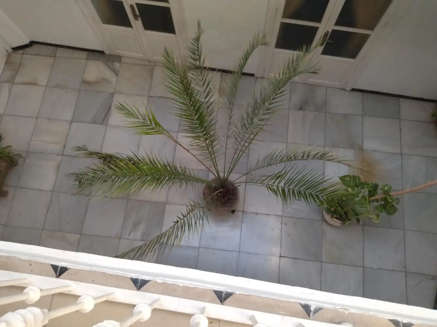 Casa con terraza en venta en Calle Marqués de Tamarón, imagen 21