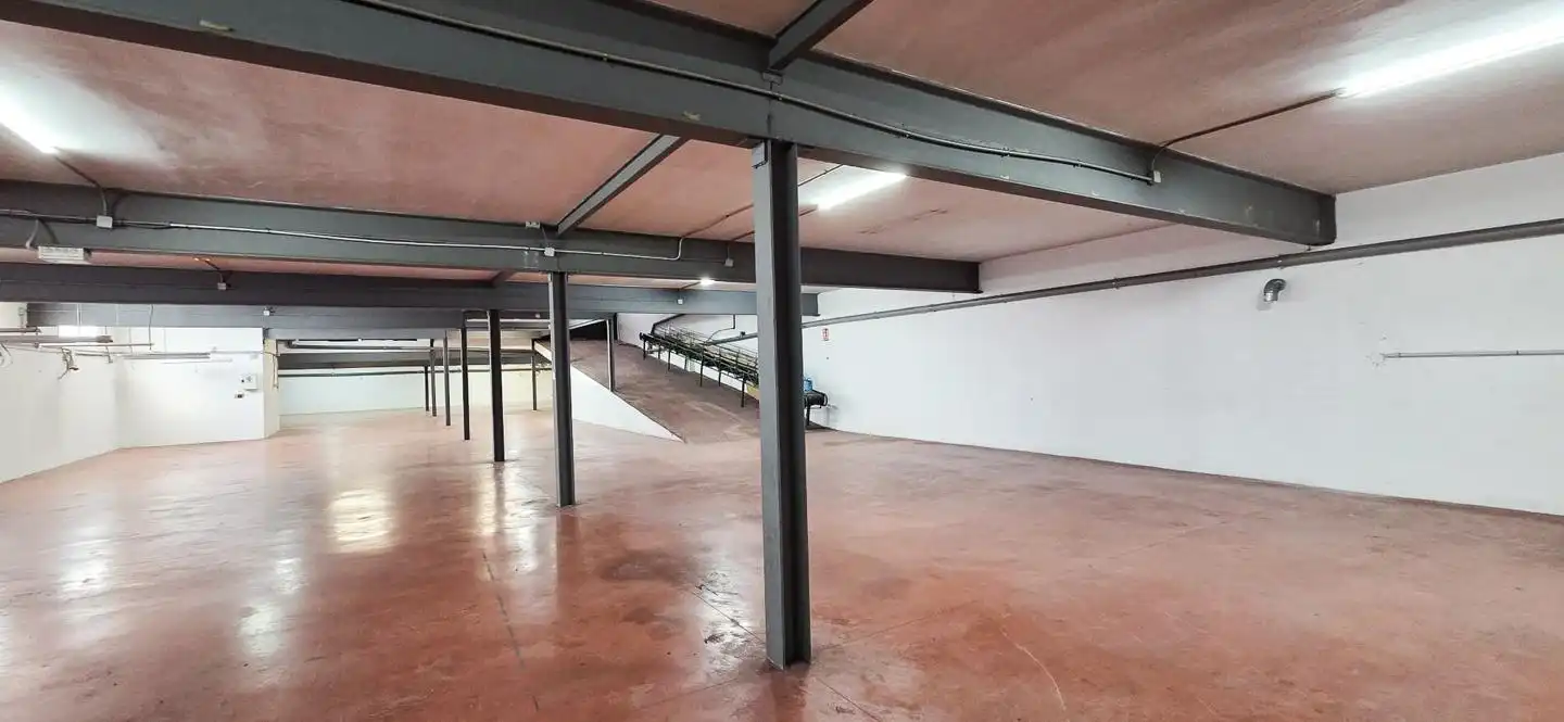 Nave industrial de alquiler en Elche / Elx