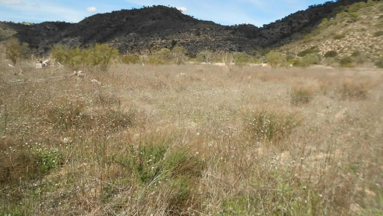 Residencial en venta en La Pobla de Massaluca
