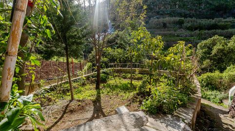 Foto 5 de Finca rústica en venta en Bascamao, Santa María de Guía de Gran Canaria, Las Palmas