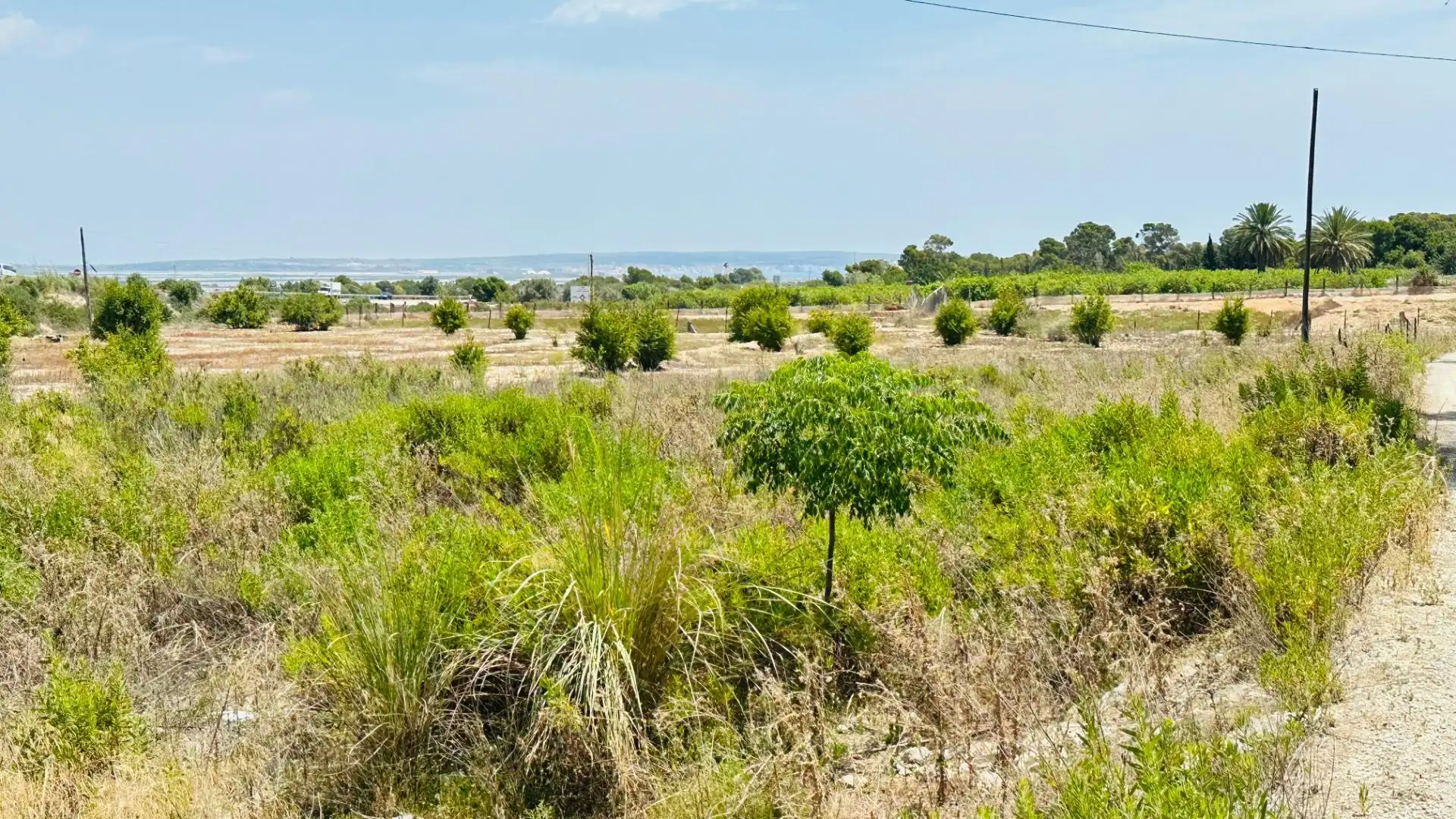 Terrain rustique à vendre à La Marina, imagen 13