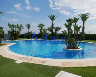 Swimming pool of Planta baja for sale in Xeraco  with Terrace and Swimming Pool