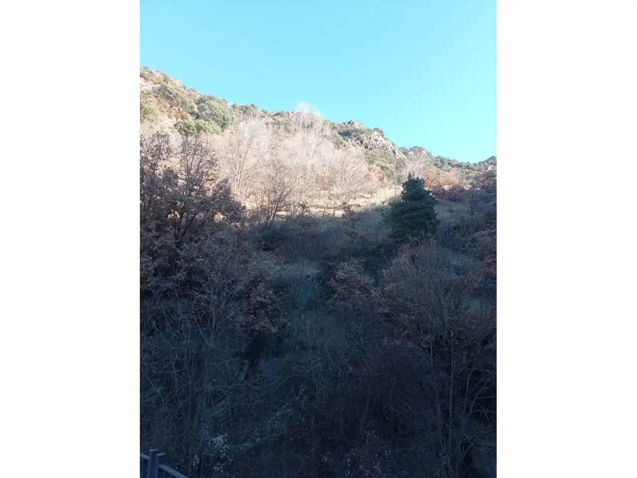 Rural land for sale in Sant Julià, imagen 2