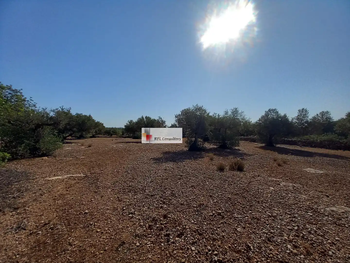 Terreno rústico en venta en L'Ampolla, imagen 14