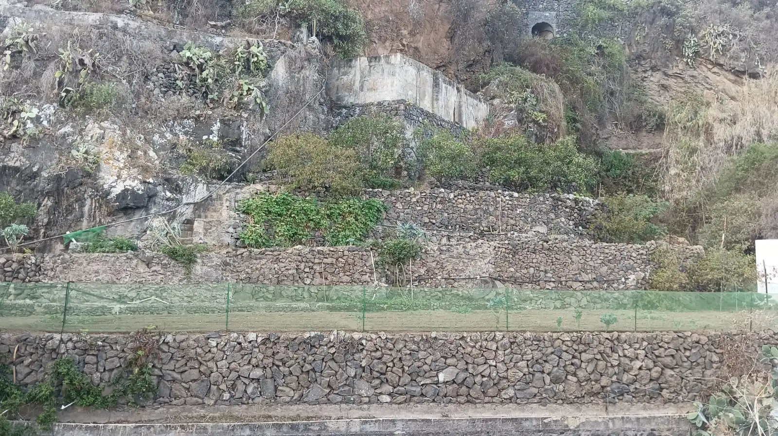 Rural land for sale in Calle Pez