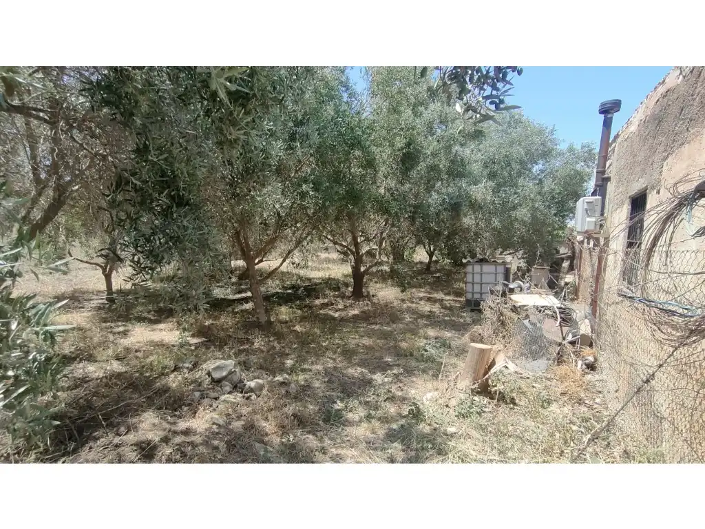 Finca rústica en venda en Fuente Álamo de Murcia