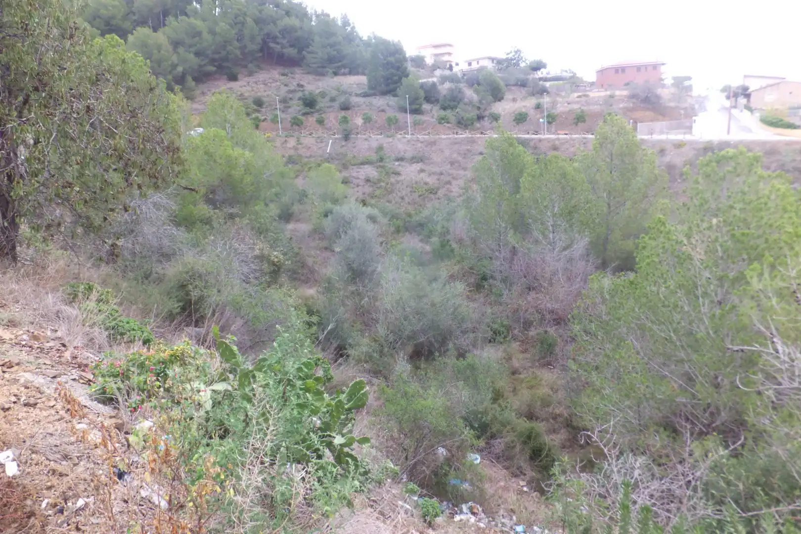 Terreno rustico in vendita a Carrer de Catalunya 23, imagen 11
