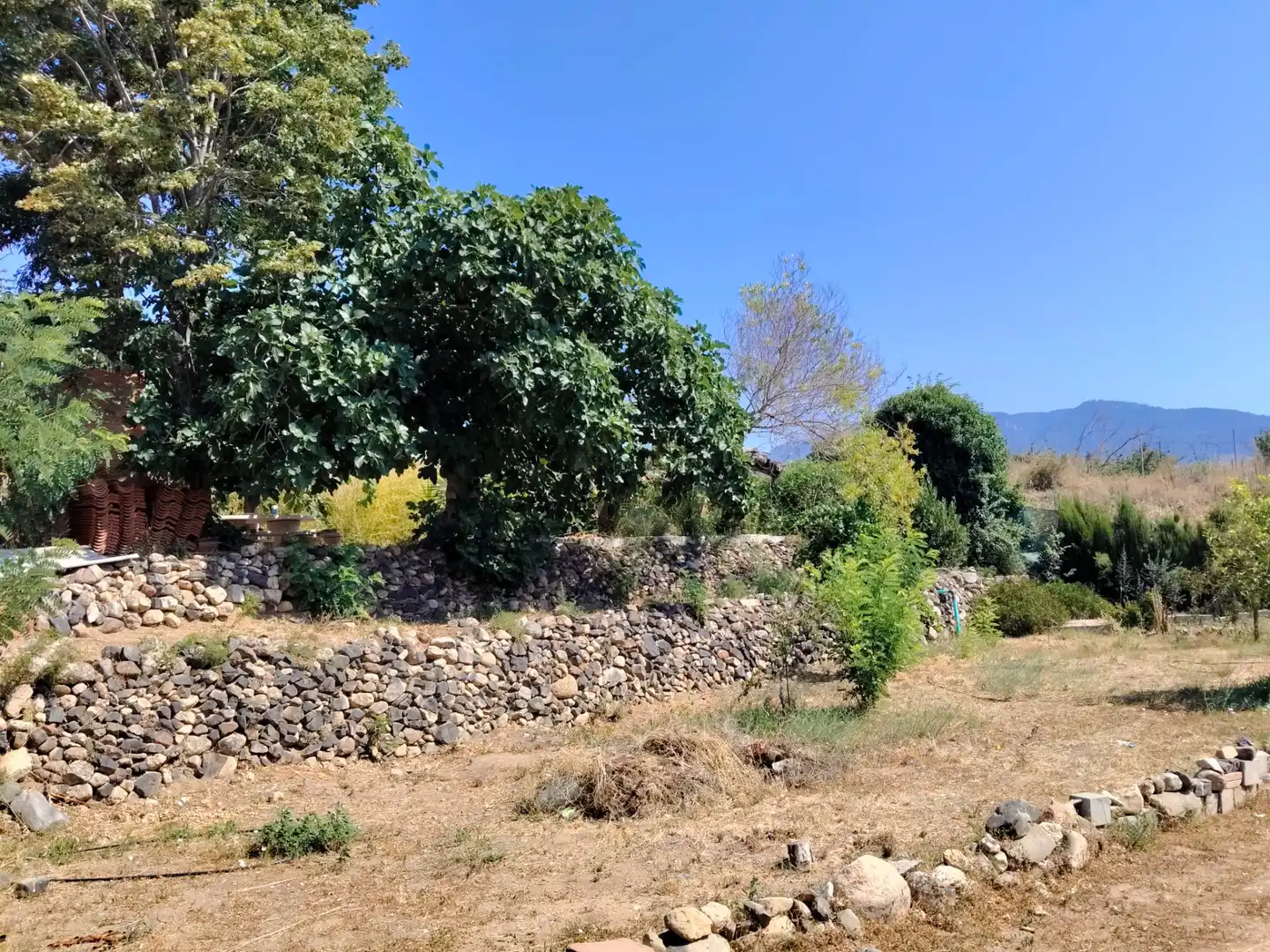 Land for sale in Maspujols
