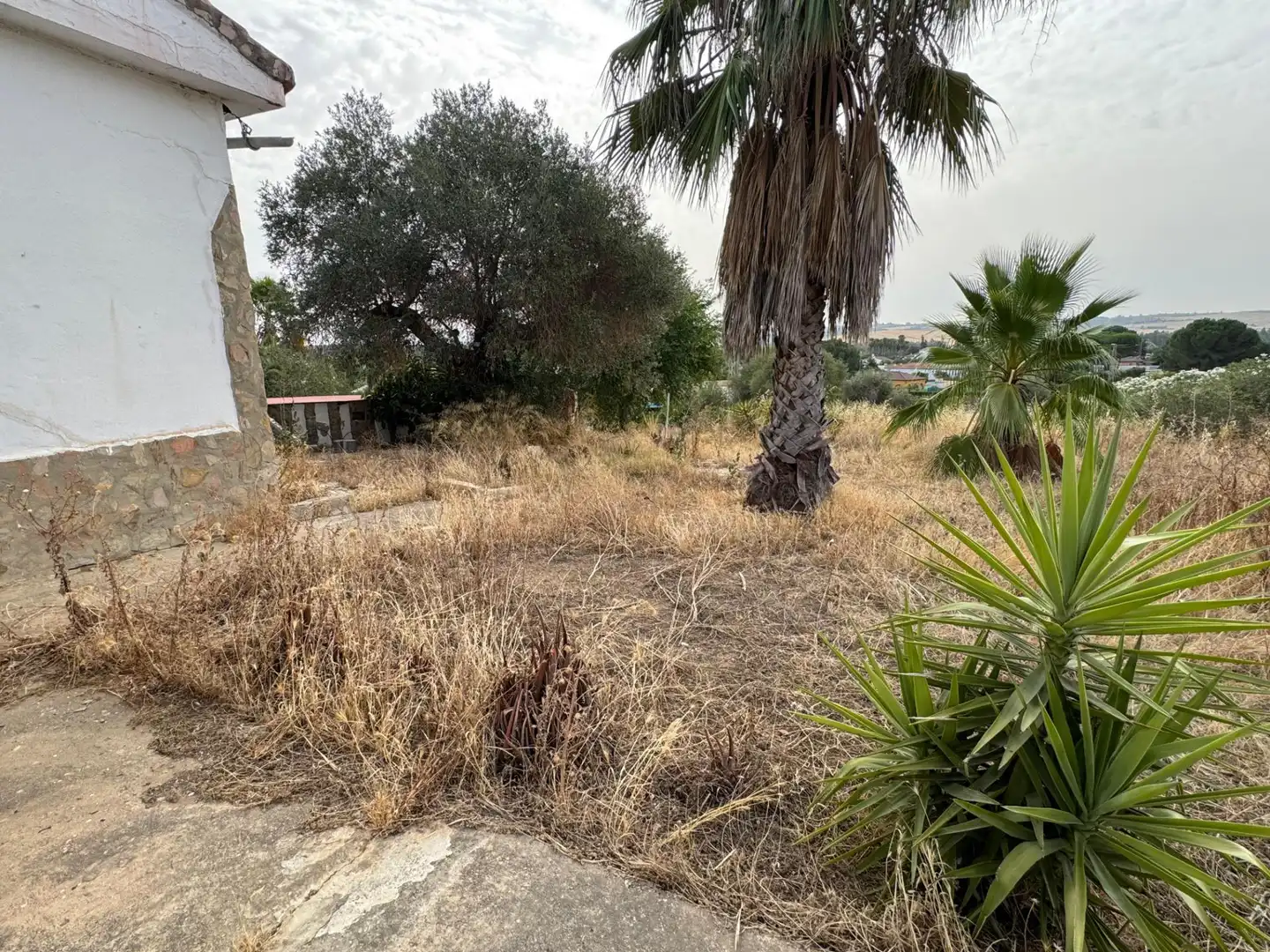 Xalet en venda a Sanlúcar la Mayor, imagen 11