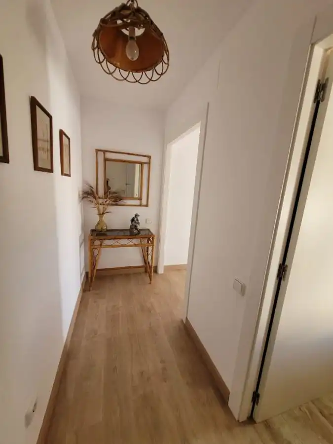 Apartments for rent in Calle Profesor Rafael Casasempere Juan, Agua Amarga - Urbanova