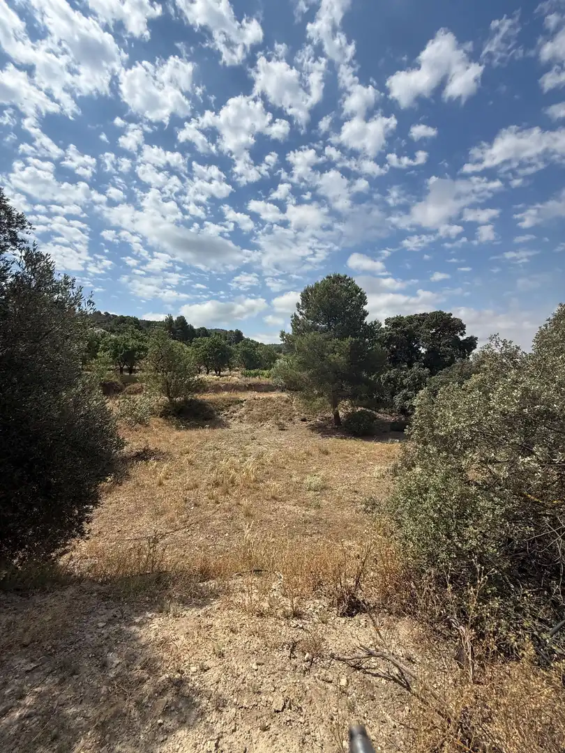 Terrenys i solars en venda a Biar, imagen 10