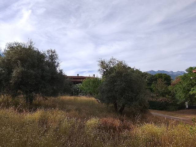 Terreno residencial en Venta en Madrigal de la Vera