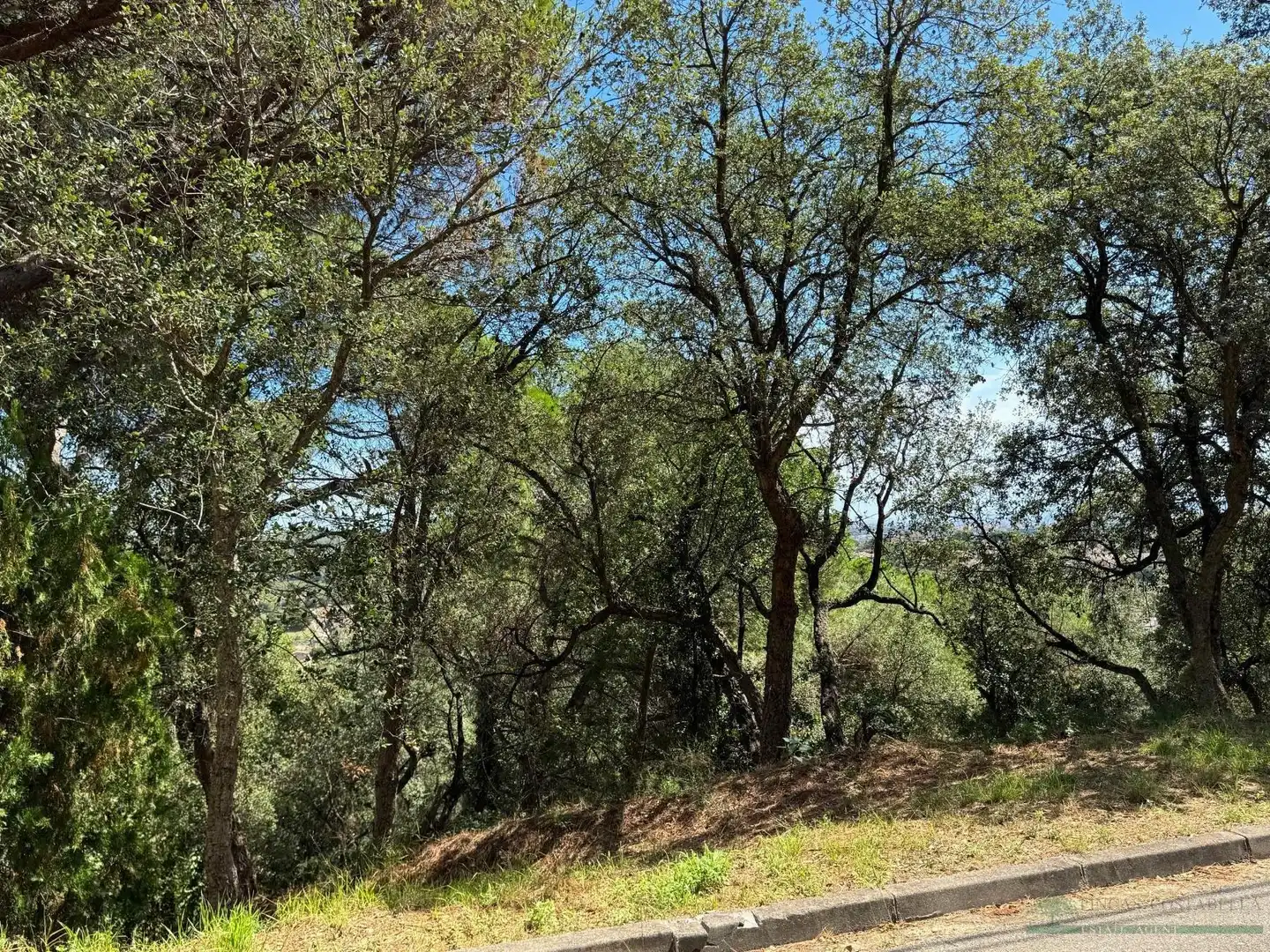 Residential land for sale in Bergueda, imagen 7