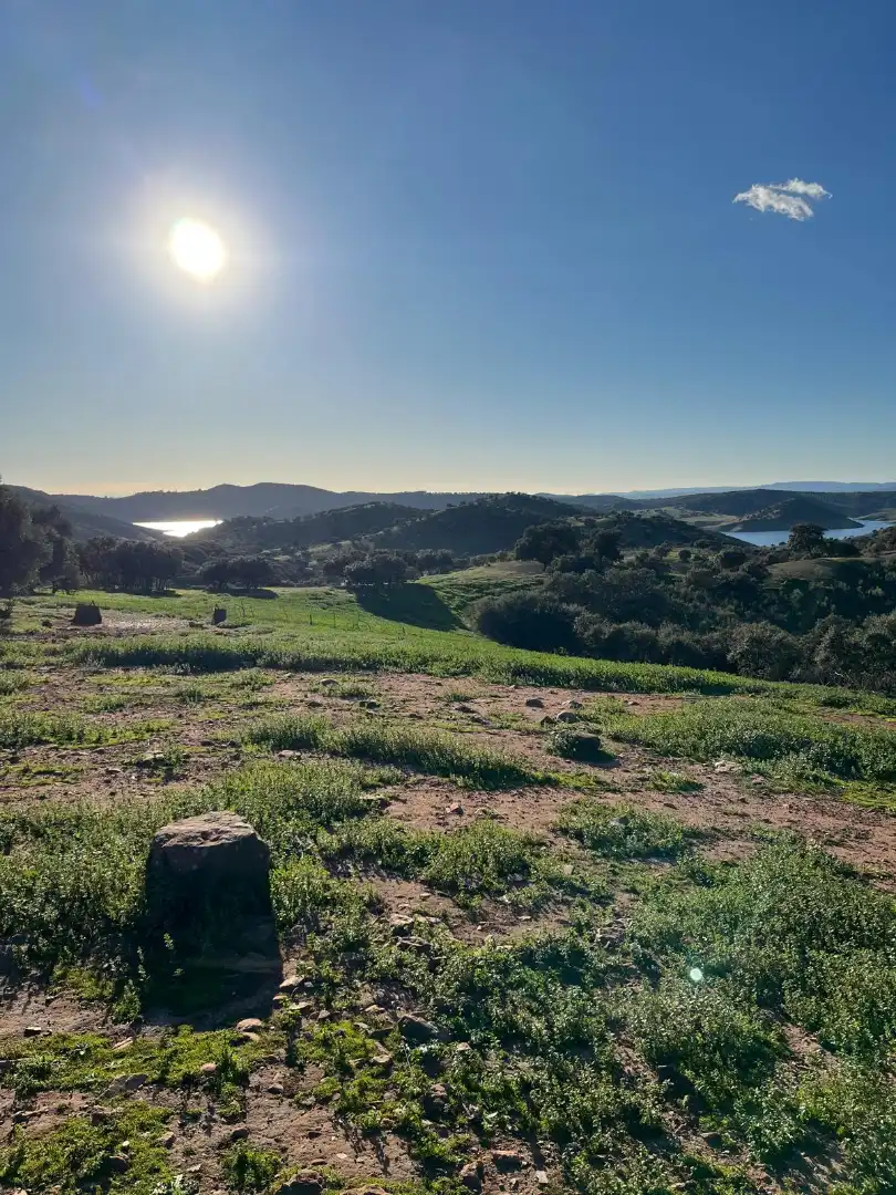 Terreno en venta en Vilches