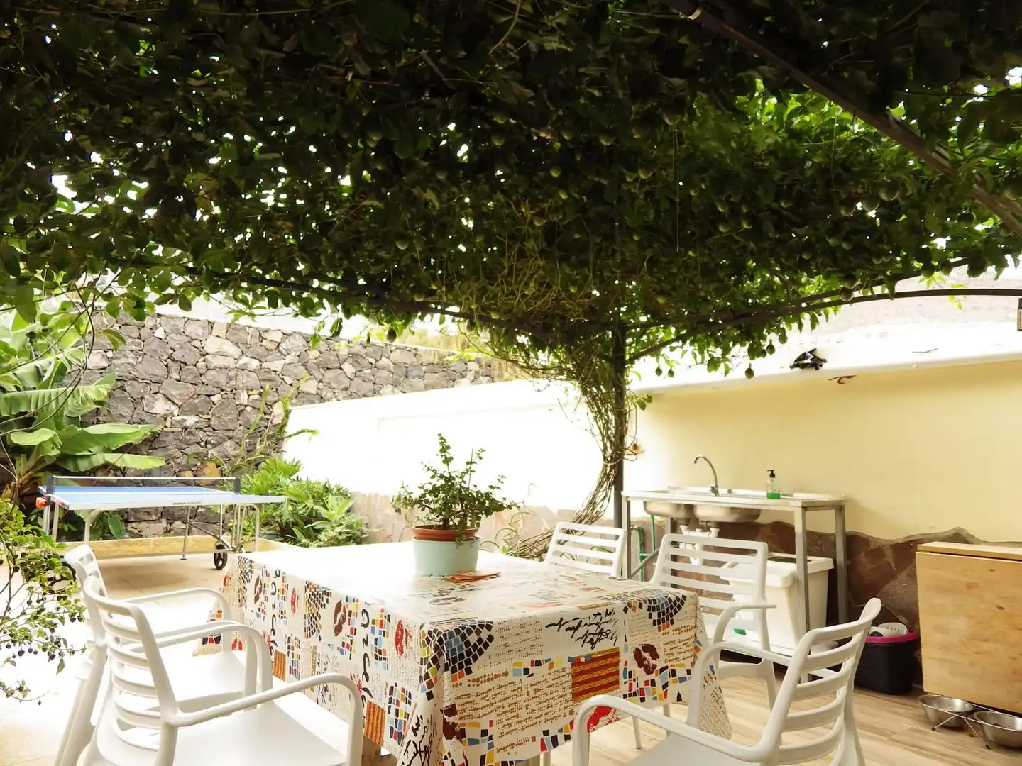 Casa a schiera con terrazza in vendita a Calle el Acebuche
