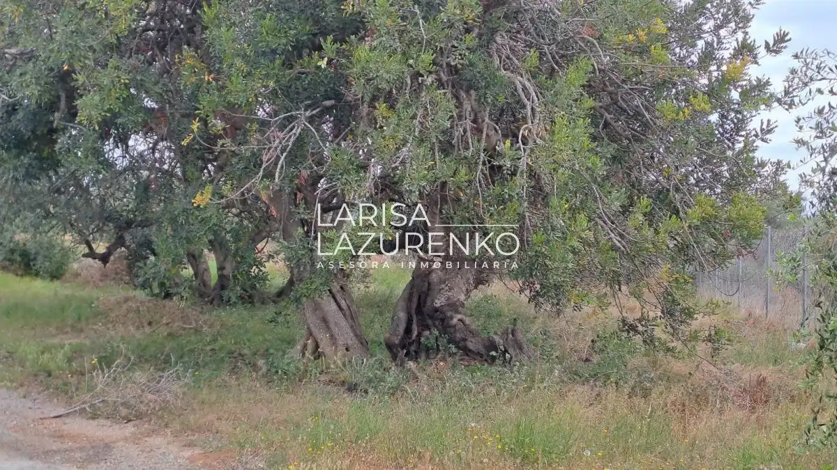 Finca rústica en venda en Vinyols i els Arcs