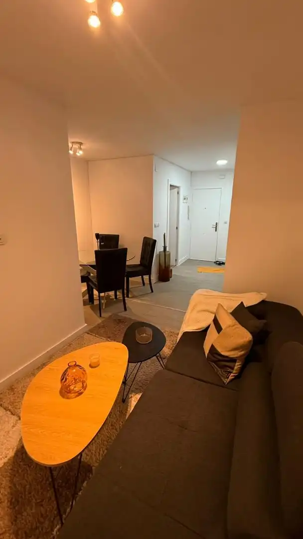 Sala d'estar de Apartament de lloguer en Alicante / Alacant amb Aire condicionat, Piscina i Moblat