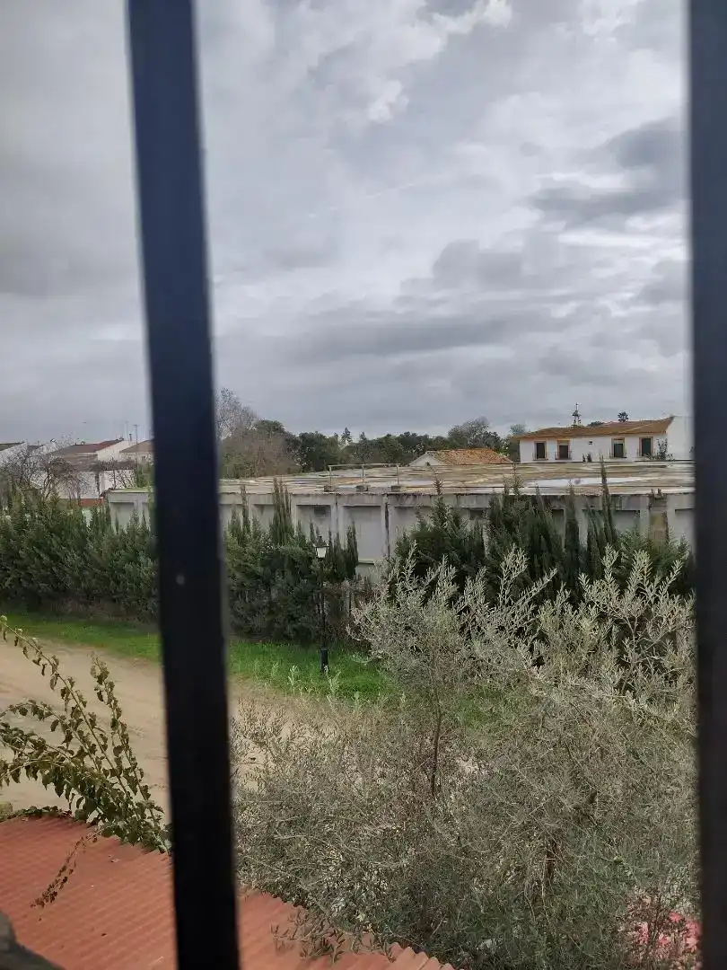 Estudio en venta en Almonte con Aire acondicionado, Jardín privado y Amueblado