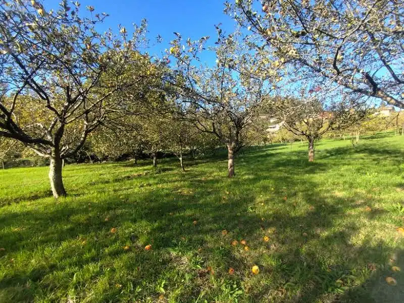 Garden of Residential for sale in Proaza, Asturias