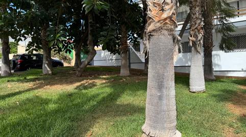 Photo 5 of Study for sale in Calle del Doctor Ingram, 29a, Playa Jardín, Santa Cruz de Tenerife