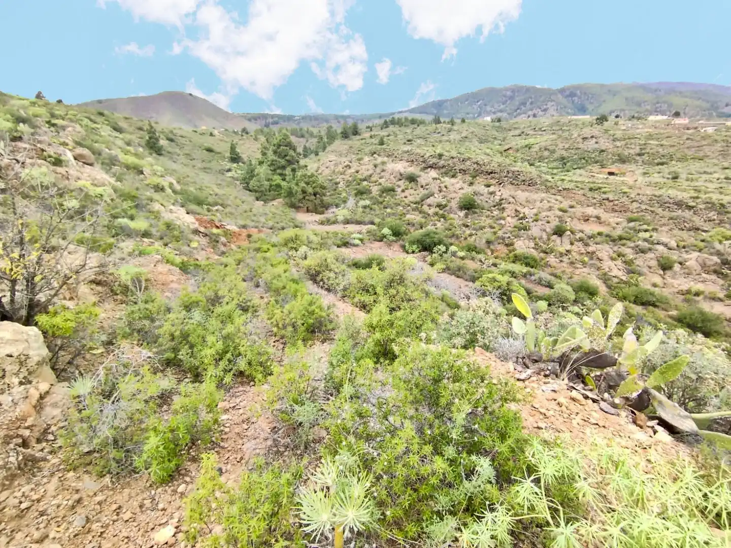 Finca rústica en venta en Granadilla de Abona