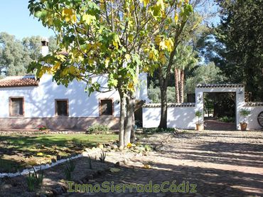 Casa rústica amb piscina en venda a Algodonales