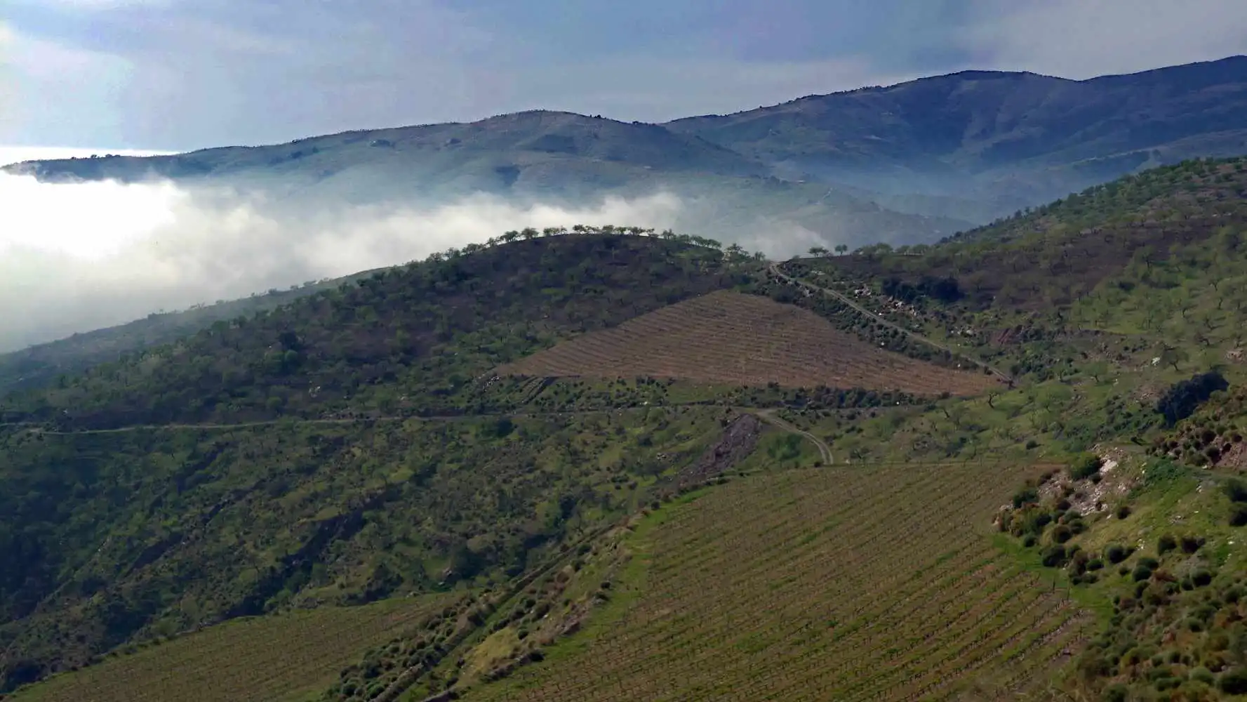 Casa rústica amb terrassa en venda a Camino de la Ermita, imagen 38