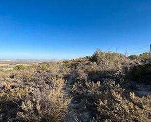 Land for sale in Osuna