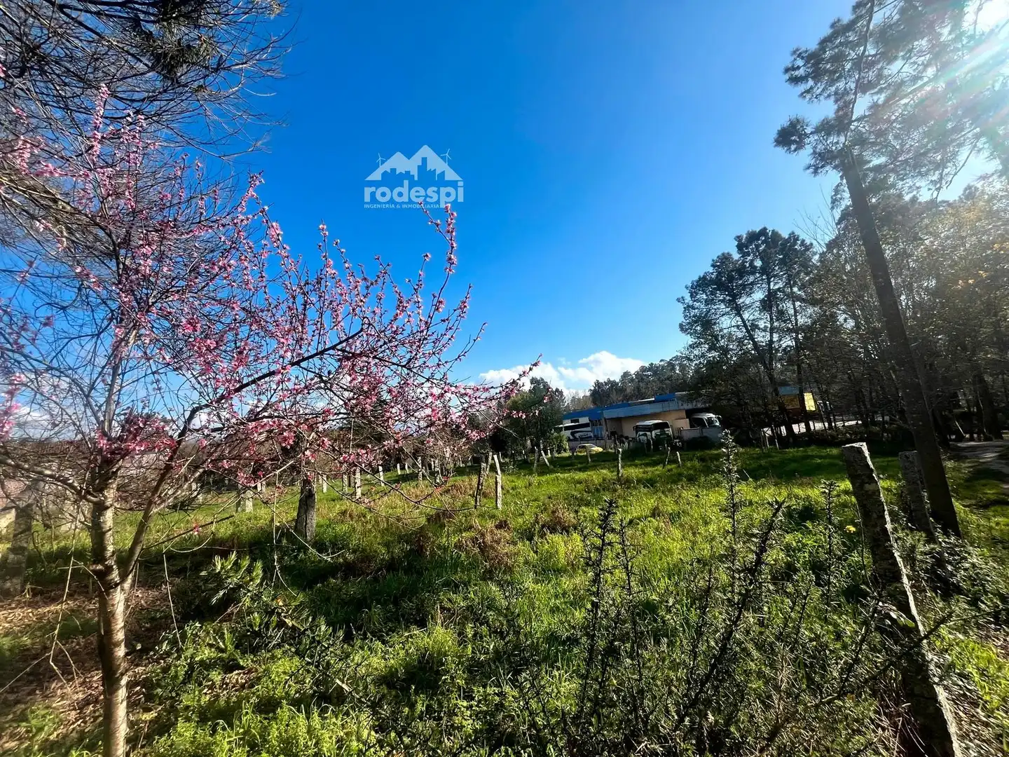 Casa en venta en Salvaterra de Miño, imagen 14