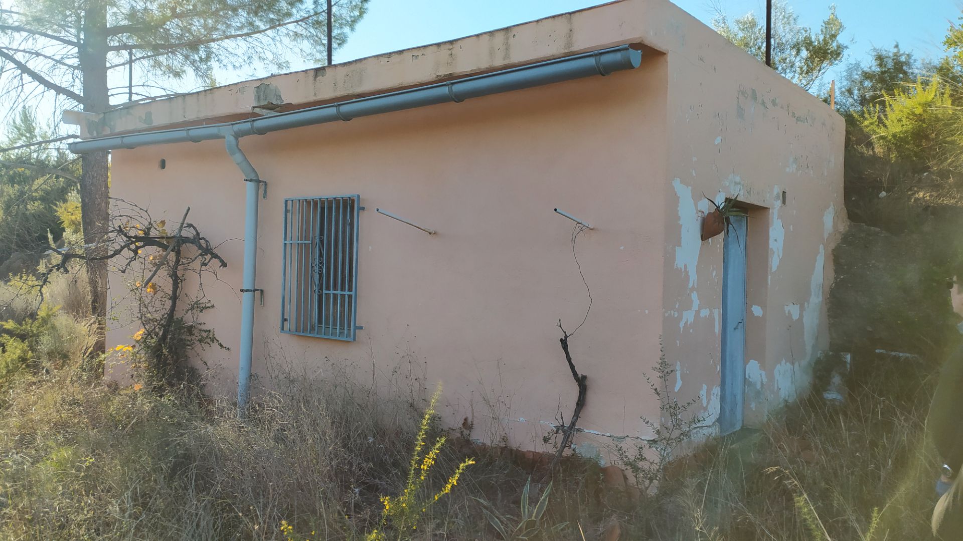 Vista exterior de Finca rústica en venda en Bugarra