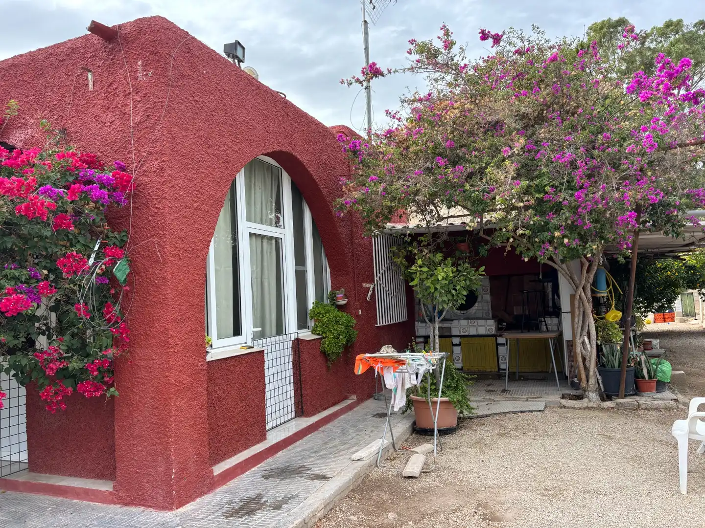Vista exterior de Casa o chalet en venta en Elche / Elx con Aire acondicionado, Jardín privado y Piscina