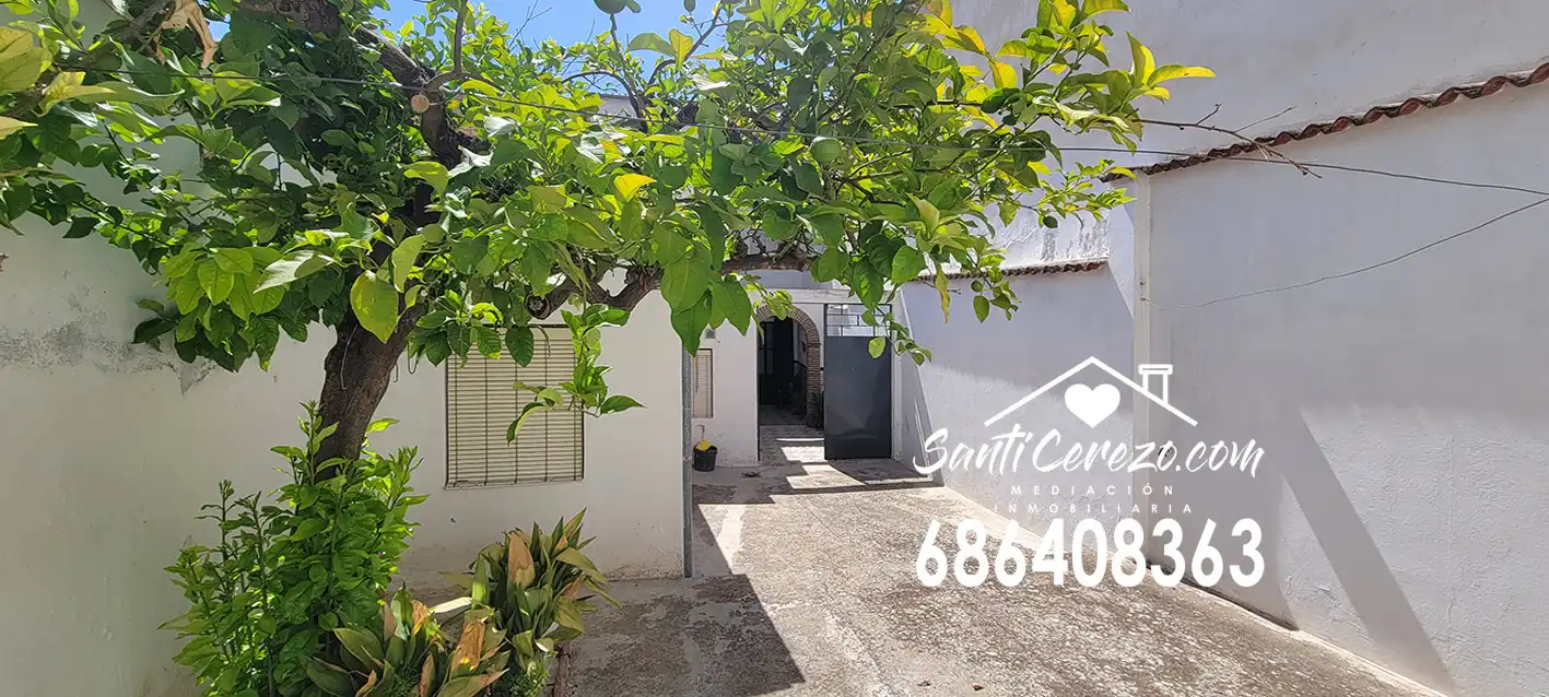 Exterior view of Houses for sale in Montilla  with Terrace