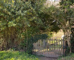 Garden of Residential for sale in Castro-Urdiales