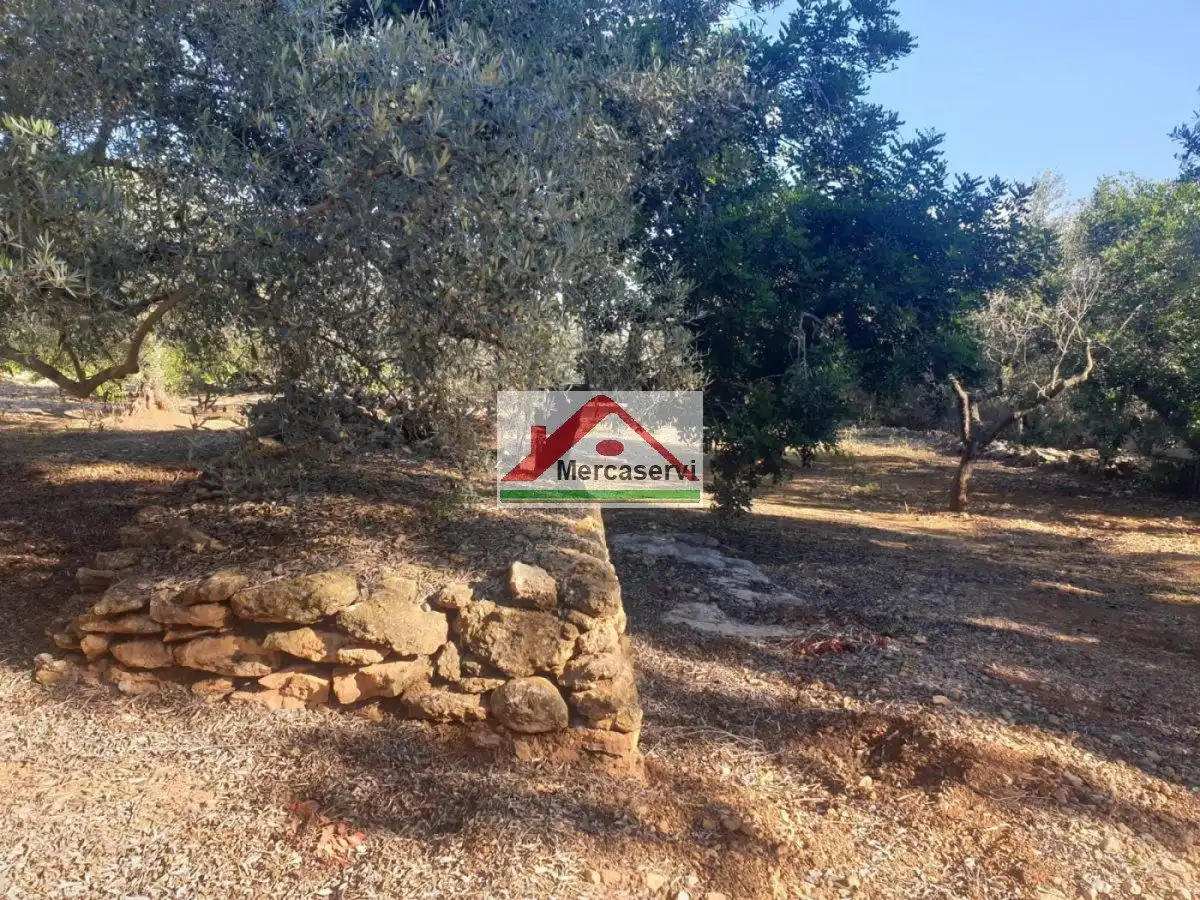 Grundstücke und Bauplätze zum Verkauf in Alcanar, imagen 6