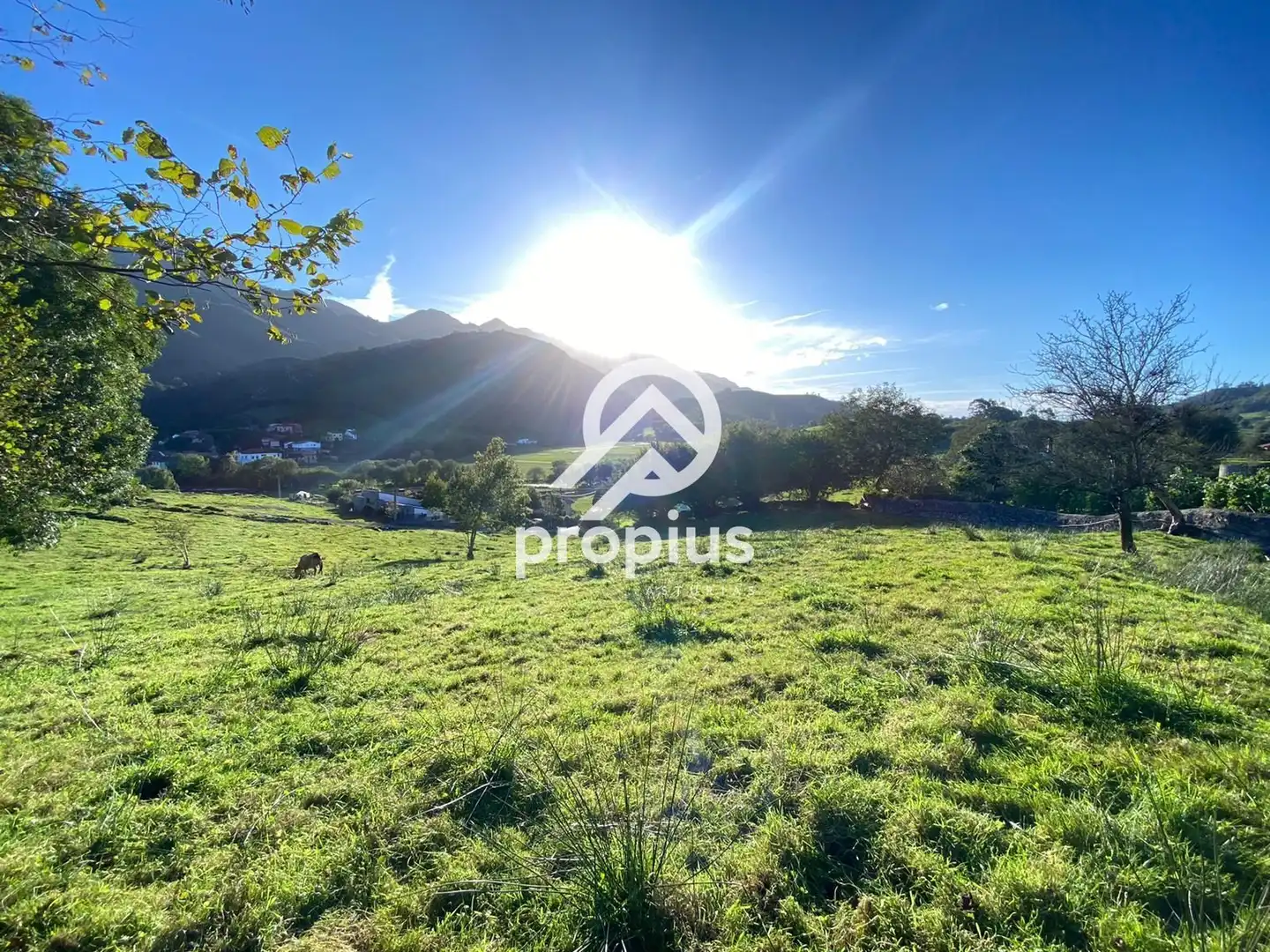 Terreno residencial en venta en LA BORBOLLA, imagen 8