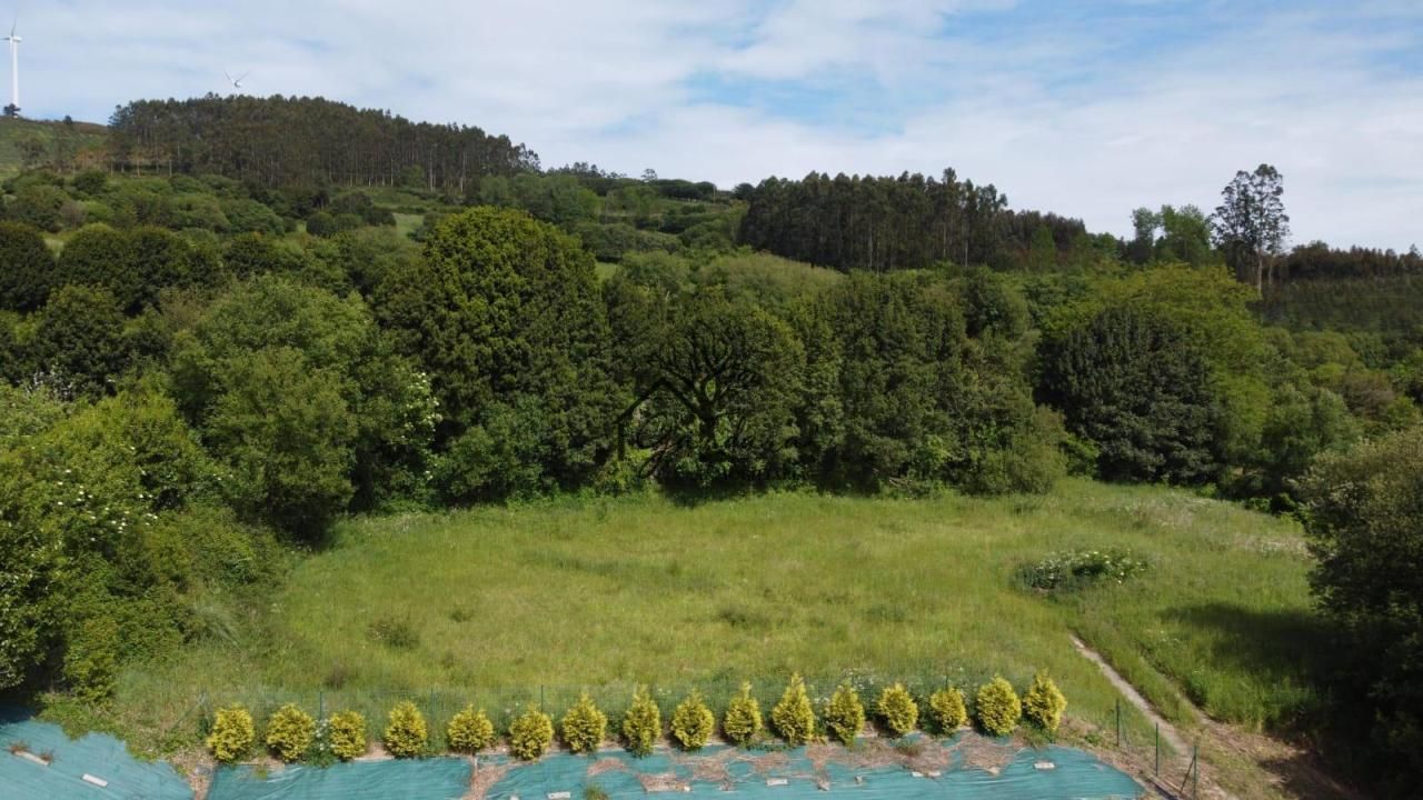 Garden of Residential for sale in Narón